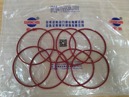 Сальник гильзы цилиндра ED490/QC490