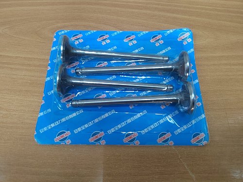 Впускной клапан ED490 / QC490 (Комплект на двигатель 4шт)