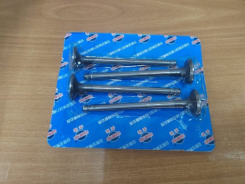 Впускной клапан ED490 / QC490 (Комплект на двигатель 4шт)